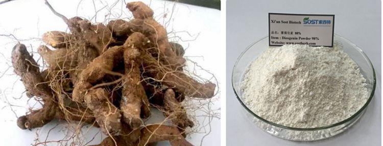 Diosgenin Powder