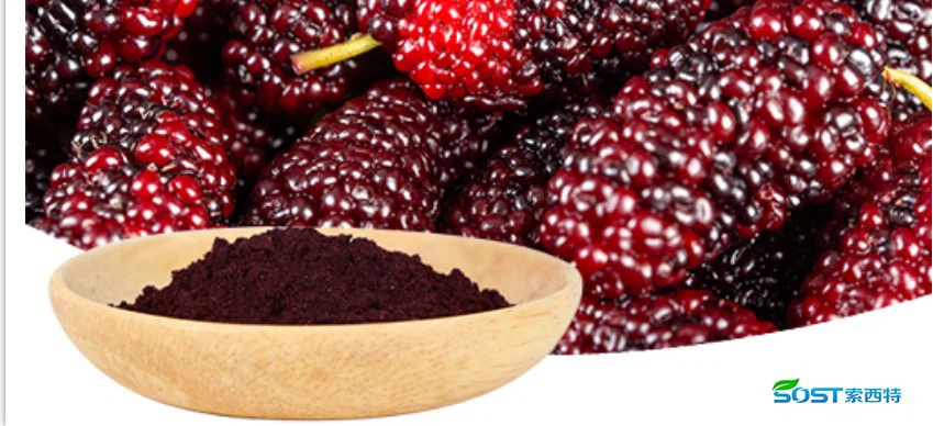 Mulberry Extract Powder3 Mulberry Extract Powder3