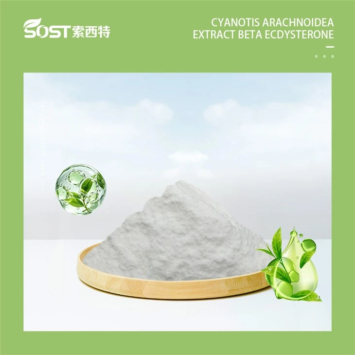 Ecdysterone1