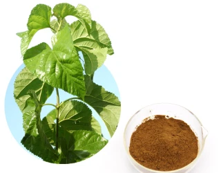 Mulberry lapu pulveris DNJ: kādi ir ieguvumi veselībai un kā tas var uzlabot ...