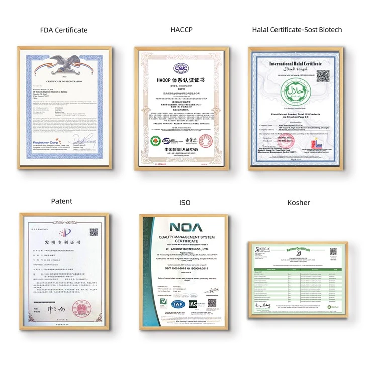 Cyanotis Arachnoidea Extract